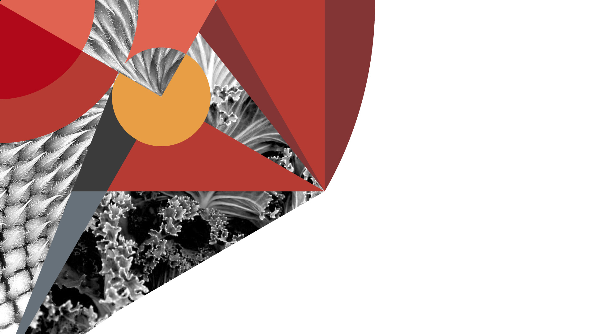 Khumeia header fractales geometrie sacrée